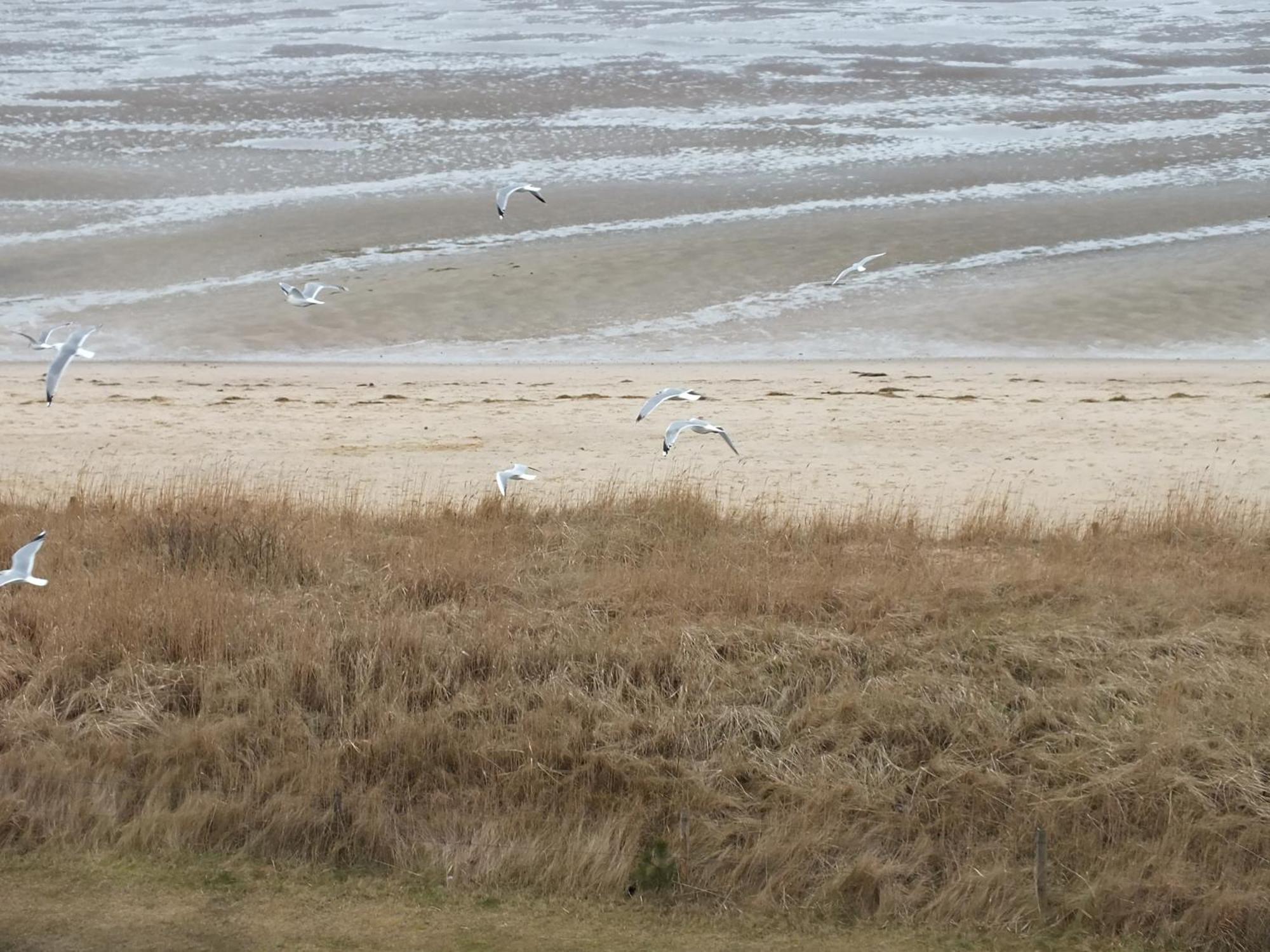 Watten-Blick 1 Lägenhet Cuxhaven Exteriör bild